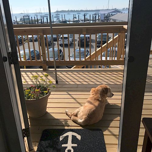 A dog lounges on a wooden deck overlooking a marina, with boats and water visible. An anchor-themed doormat is in the doorway, and a plant sits beside it.