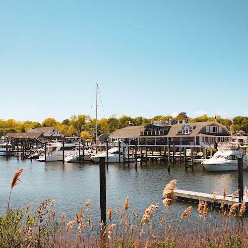 A serene marina with docked boats and houses in the background, surrounded by water and tall grasses under a clear sky.