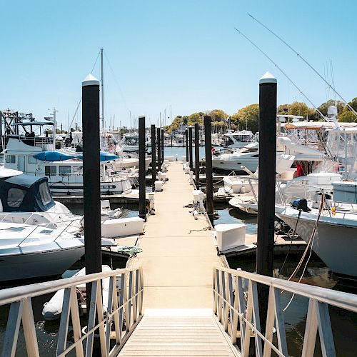 The image shows a marina with a walkway leading to several docked boats and yachts on a sunny day.